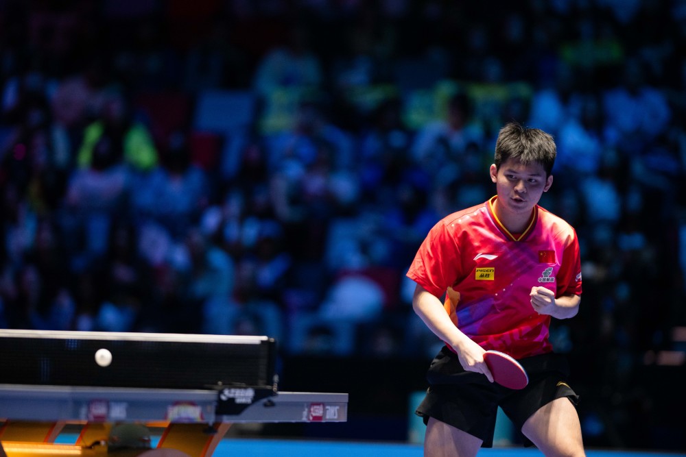 公众人物与 公众人物与