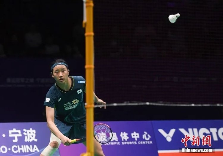 心的归属感 心的归属感